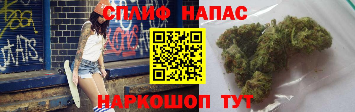 Каннабис конопля Шадринск